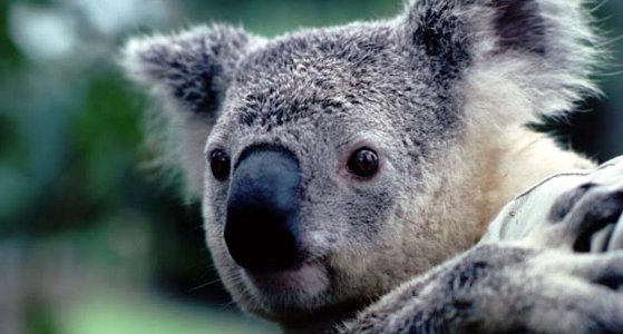 地震から子どもを守ろう